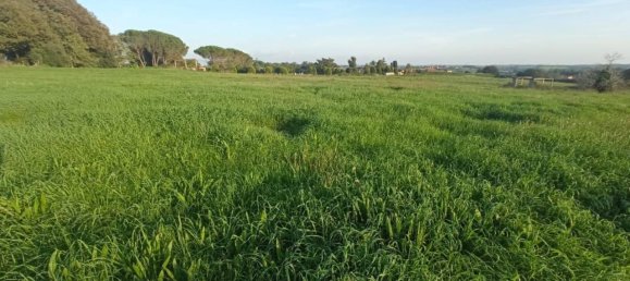 60000m² Land in Bracciano, Italy No. 76540 6