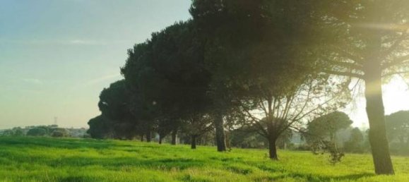 60000m² Land in Bracciano, Italy No. 76540 2