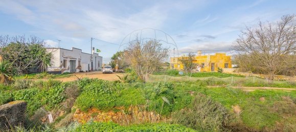  Castillos de 4 dormitorios en Pechao, Portugal No. 23274 15