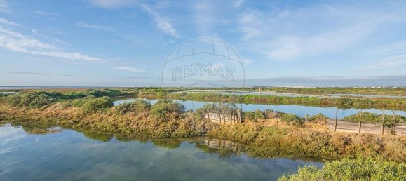  Castillos de 4 dormitorios en Pechao, Portugal No. 23274 9