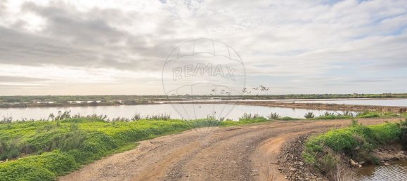  Castillos de 4 dormitorios en Pechao, Portugal No. 23274 13