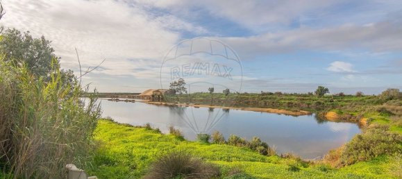  Castillos de 4 dormitorios en Pechao, Portugal No. 23274 14