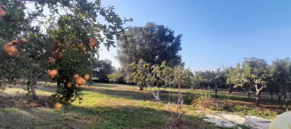 10-Zimmer Haus in Ceglie Messapica, Italy, Nr. 221438 13