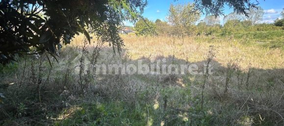 3 bedrooms House in Castagnole delle Lanze, Italy No. 336176 29