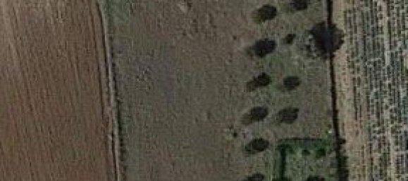 5 غرف نوم عقار تجاري في Epanomi, Greece رقم 2895 24