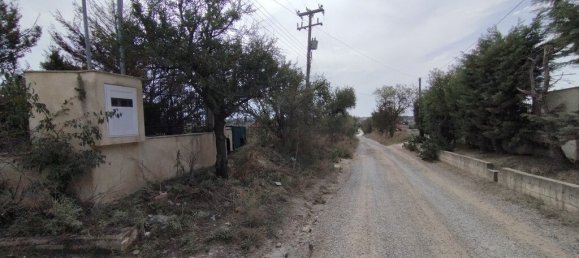 5 غرف نوم عقار تجاري في Epanomi, Greece رقم 2895 23