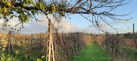 3 bedrooms House in Montone, Italy No. 153208 5