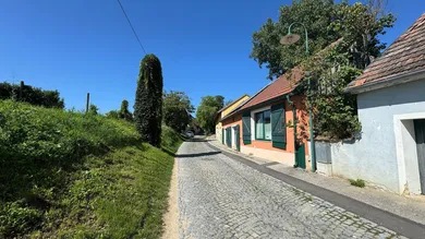 1 غرف نوم عقار تجاري في Grossriedenthal, Austria رقم 154332