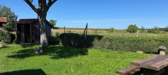 1 غرف نوم عقار تجاري في Grossriedenthal, Austria رقم 154332 6