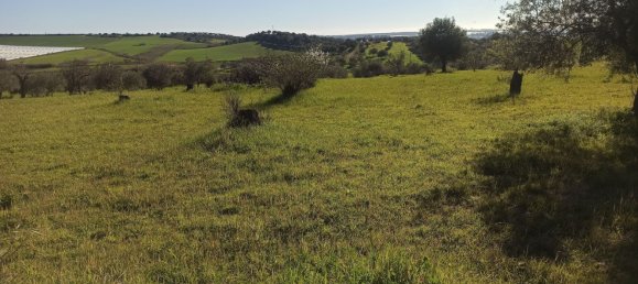  Land in Noto, Italy No. 60994 5