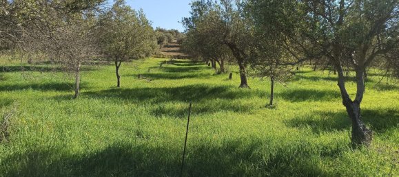  Land in Noto, Italy No. 60994 29