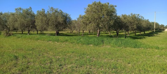  Land in Noto, Italy No. 60994 2
