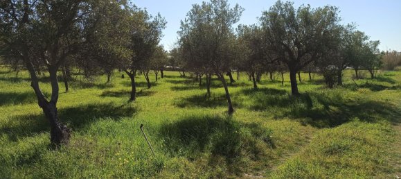 Land in Noto, Italy No. 60994 30