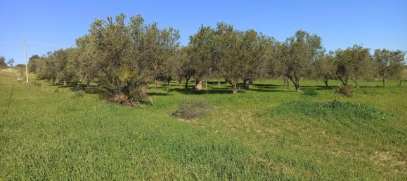  Land in Noto, Italy No. 60994 4