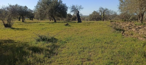  Land in Noto, Italy No. 60994 6