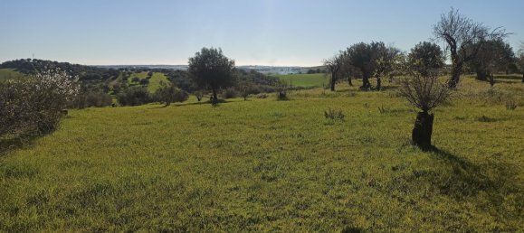  Land in Noto, Italy No. 60994 8
