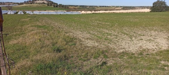  Land in Noto, Italy No. 60994 33