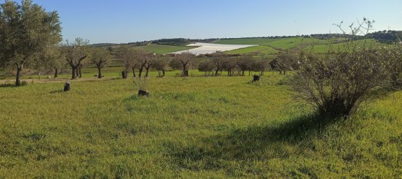  Land in Noto, Italy No. 60994 7