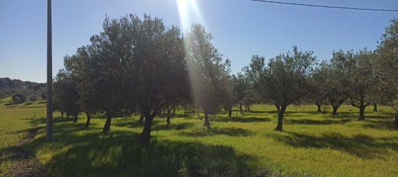  Land in Noto, Italy No. 60994 11