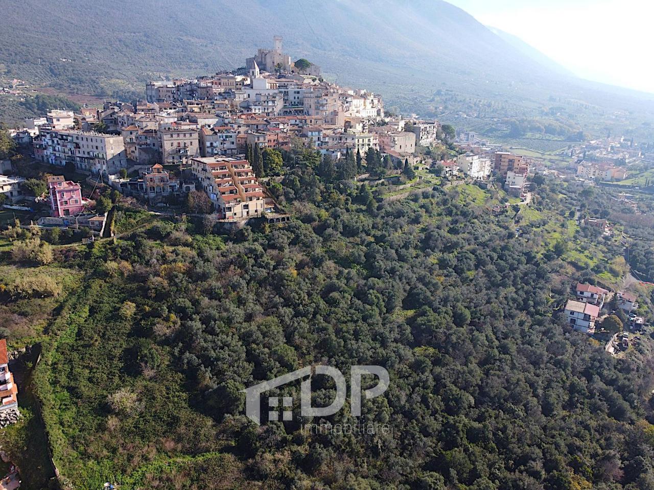 1 room Land in Palombara Sabina, Italy No. 130158