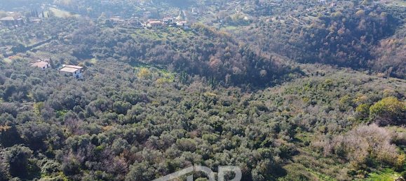 1 room Land in Palombara Sabina, Italy No. 130158 11