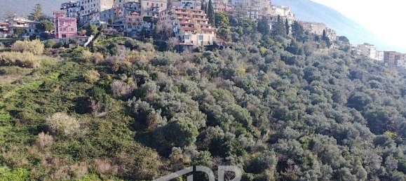 1 room Land in Palombara Sabina, Italy No. 130158 9
