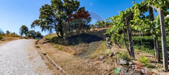 Grundstück in Baiao, Portugal 644m², Nr. 62144 8