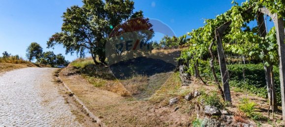 Grundstück in Baiao, Portugal 644m², Nr. 62144 7