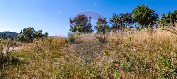 Grundstück in Baiao, Portugal 644m², Nr. 62144 11