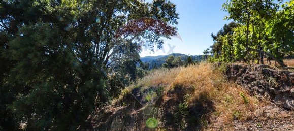 Grundstück in Baiao, Portugal 644m², Nr. 62144 9