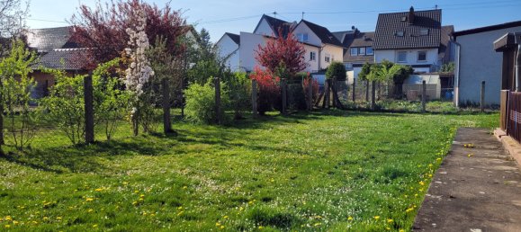 8غرفة بناية في Rhein-Sieg, Germany رقم 253326 19