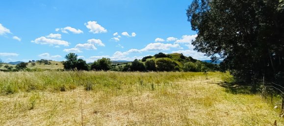 Villa de 4 habitaciónes en Berchidda, Italy No. 17581 5