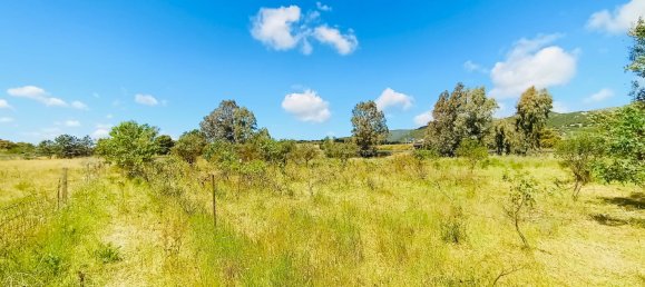 Villa de 4 habitaciónes en Berchidda, Italy No. 17581 3