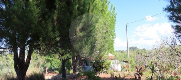 Дом с 9 спальнями в Алпедринья, Португалия № 69911 43