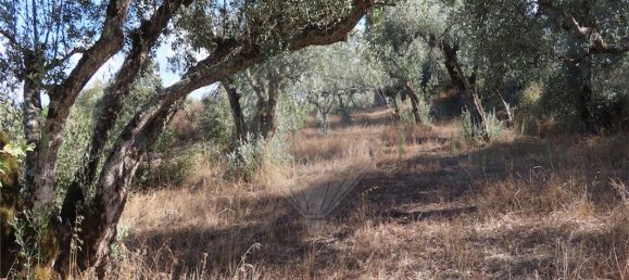 Дом с 9 спальнями в Алпедринья, Португалия № 69911 25