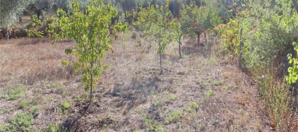 Дом с 9 спальнями в Алпедринья, Португалия № 69911 30