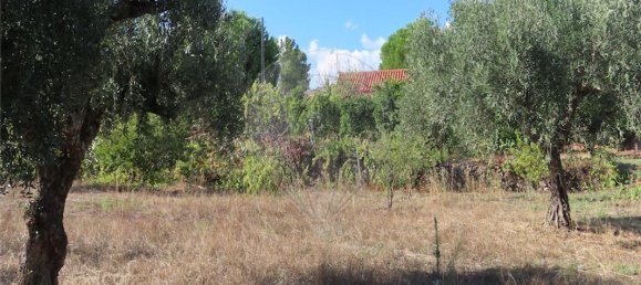 Дом с 9 спальнями в Алпедринья, Португалия № 69911 32