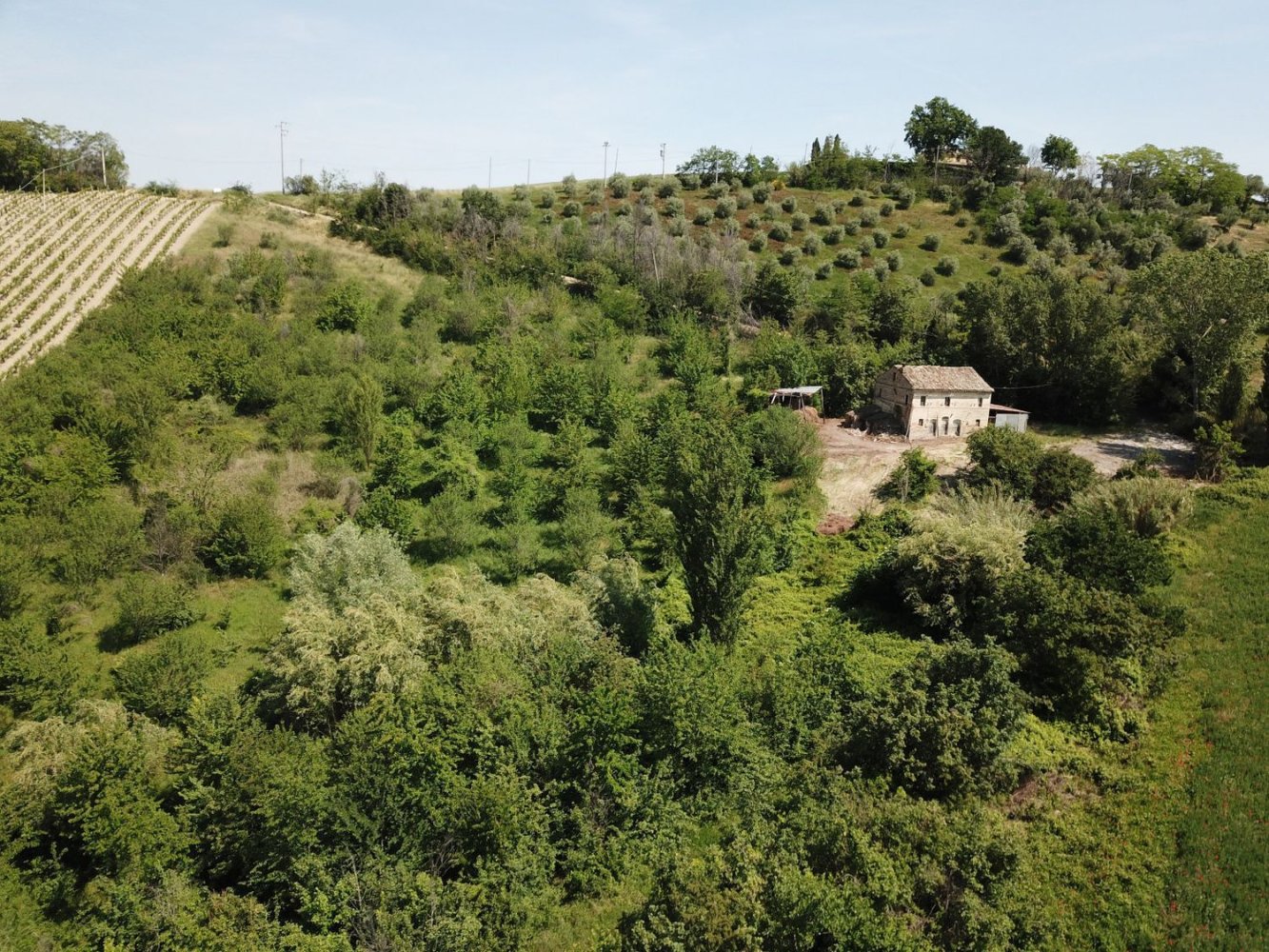 10 rooms House in Montottone, Italy No. 160790