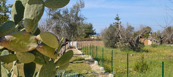 2-salle Villa à Sannicola, Italy No. 230675 13