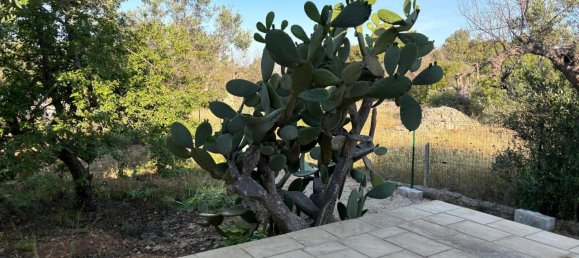 2-salle Villa à Sannicola, Italy No. 230675 32