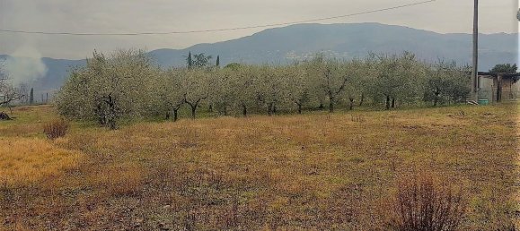 Grundstück in Lucca, Italy 1500m², Nr. 39324 6