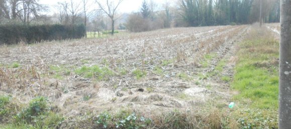 Grundstück in Lucca, Italy 1500m², Nr. 39324 17