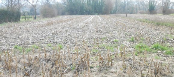 Grundstück in Lucca, Italy 1500m², Nr. 39324 16