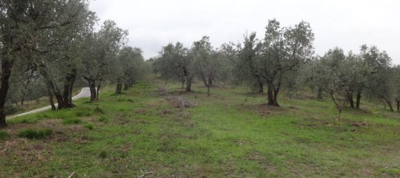 Grundstück in Lucca, Italy 1500m², Nr. 39324 12