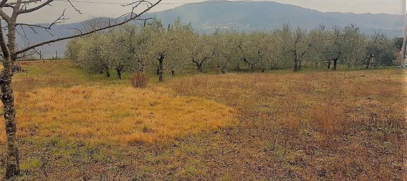 Grundstück in Lucca, Italy 1500m², Nr. 39324 5