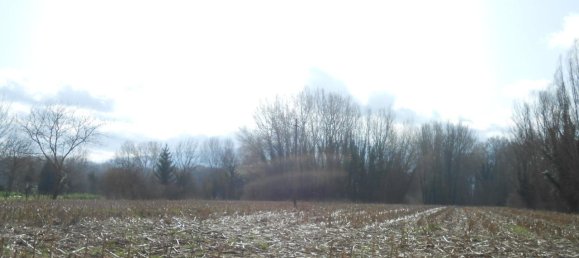 Grundstück in Lucca, Italy 1500m², Nr. 39324 18