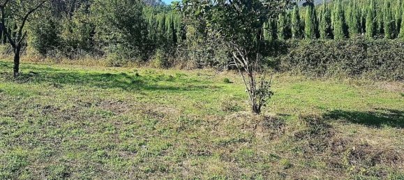 Grundstück in Lucca, Italy 1500m², Nr. 39324 4