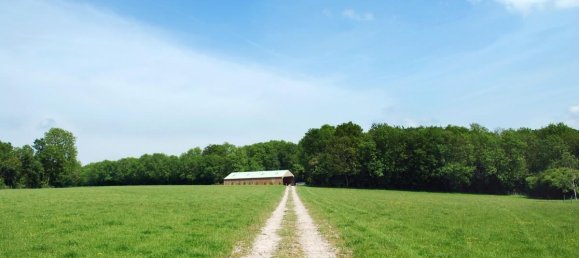 Grundstück in Lucca, Italy 1500m², Nr. 39324 11