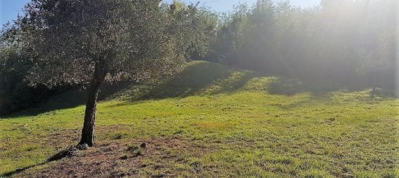 Grundstück in Lucca, Italy 1500m², Nr. 39324 3