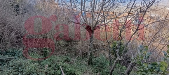 6 rooms Villa in Guardia Sanframondi, Italy No. 58010 17